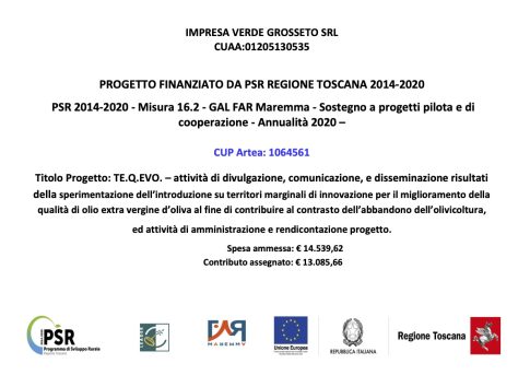 Progetto: TE.Q.EVO